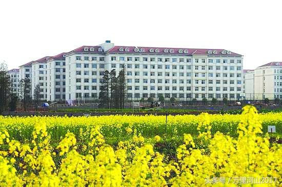 华中农业大学怎么样，排名好不好（花园式大学～华中农业大学）