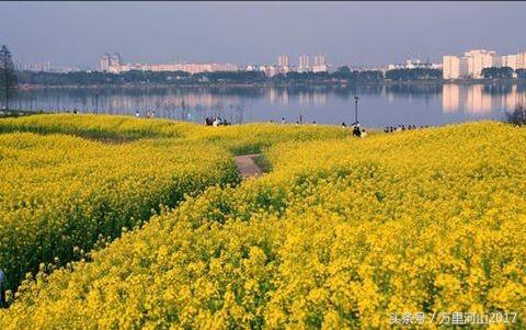 华中农业大学怎么样，排名好不好（花园式大学～华中农业大学）