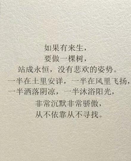 三毛的励志名言，三毛的励志经典语录（分享三毛的九句名言——关于生活）