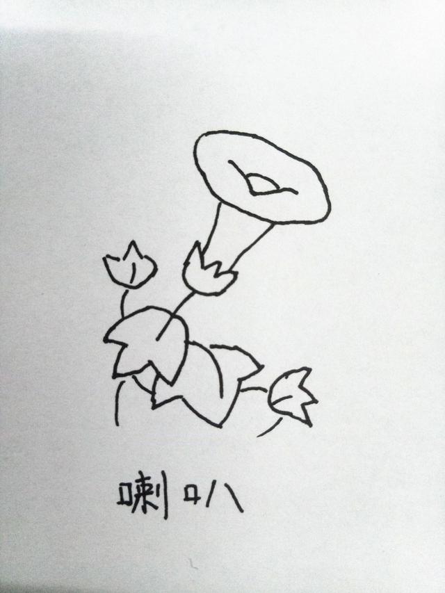 简笔画月季花的画法，月季花的简笔画怎么画（十种花的简笔画，初学者）