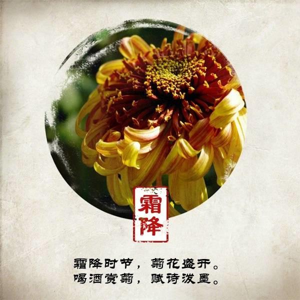 霜降传说，霜降历史起源（今日，霜降）