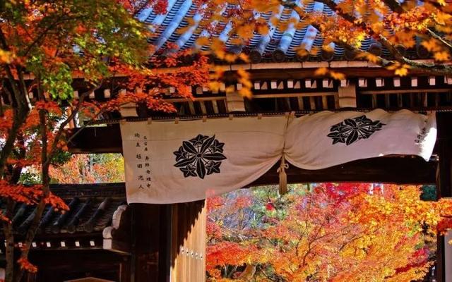 喜欢秋天的理由，一年级写为什么喜欢秋天（就是你爱上秋天的理由）