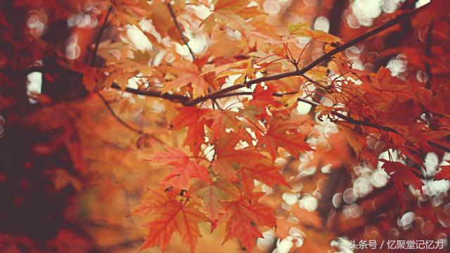 april是什么意思啊，april是什么意思（“月份”英语名你记住了多少）