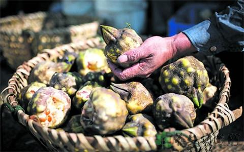 鸡头米做法，怎么吃最营养，鸡头米做法（鸡头米——传说中的鸡头米做法大全）