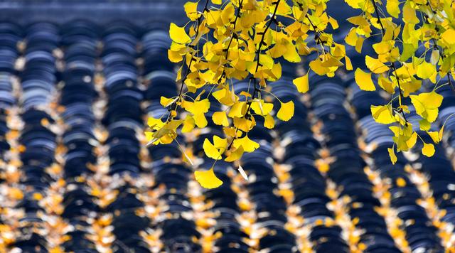 江南佳丽地金陵帝王州是谁写的，江南佳丽地金陵帝王州是谁写的（诗词曲中的南京之美）