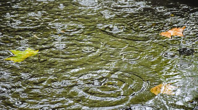 江南佳丽地金陵帝王州是谁写的，江南佳丽地金陵帝王州是谁写的（诗词曲中的南京之美）