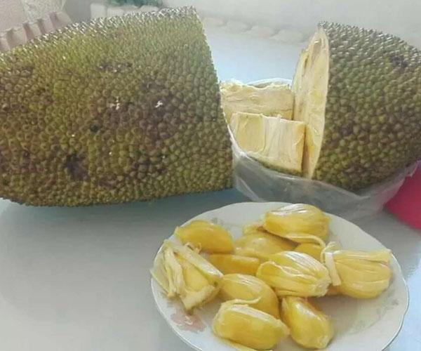 菠萝蜜怎么吃好吃又简单的方法，菠萝蜜的食用方法有哪些（相信大多数人都只吃了三分之一）