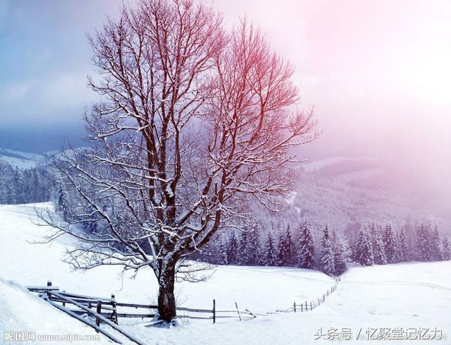 april是什么意思啊，april是什么意思（“月份”英语名你记住了多少）