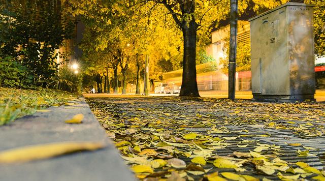 江南佳丽地金陵帝王州是谁写的，江南佳丽地金陵帝王州是谁写的（诗词曲中的南京之美）