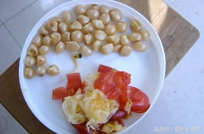 君子兰怎么育苗，君子兰怎么育苗图解（播种繁殖君子兰）