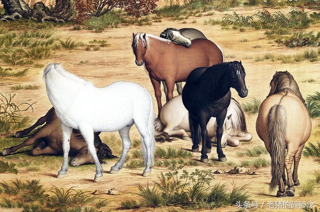 百骏图作者是谁，百骏图作者是谁画的（郎世宁笔下的传世名画之《百骏图》）