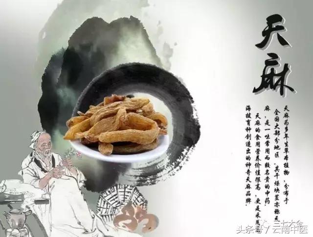 天麻最简单的吃法，干天麻的简单食用方法（风湿、手麻、脚麻、头痛）