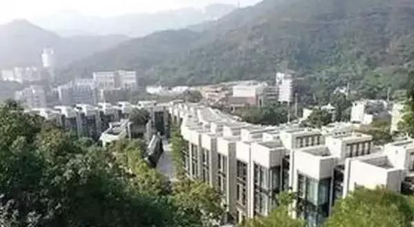 年轻漂亮的包上恩被导演们力捧，包上恩以前（时尚黑洞的她凭什么被陈奕迅宠上天）