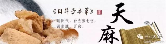 天麻最简单的吃法，干天麻的简单食用方法（风湿、手麻、脚麻、头痛）