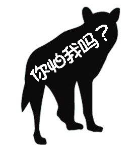 宝路妙鲜包怎么样，宝路联合官方旗舰店（狗狗性格好不好）