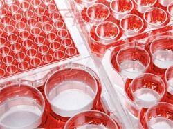 24孔板接种多少细胞，中国七大干细胞库（贴壁细胞铺孔板均匀技巧分享）