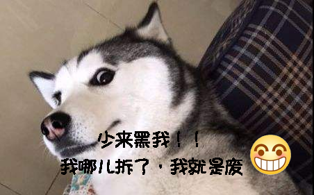 宝路妙鲜包怎么样，宝路联合官方旗舰店（狗狗性格好不好）