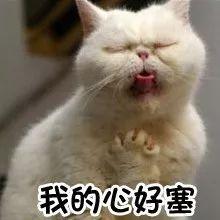 小仙女的真正意思，男生叫女生小仙女是有意思吗（忽然火遍全网的这个梗是怎么来的）