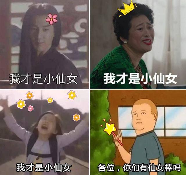 小仙女的真正意思，男生叫女生小仙女是有意思吗（忽然火遍全网的这个梗是怎么来的）