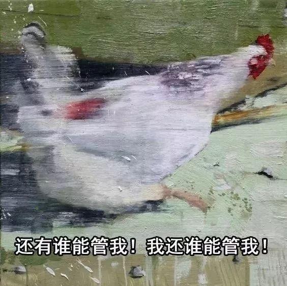 小仙女的真正意思，男生叫女生小仙女是有意思吗（忽然火遍全网的这个梗是怎么来的）
