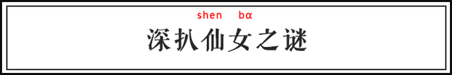 小仙女的真正意思，男生叫女生小仙女是有意思吗（忽然火遍全网的这个梗是怎么来的）