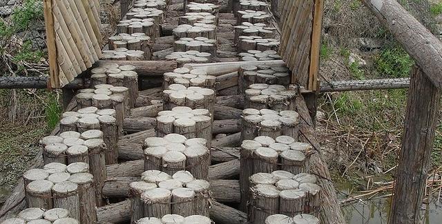 上海大千生态庄园，大千生态庄园门票（坐落在江南水乡上海淀山湖畔的大千生态庄园）