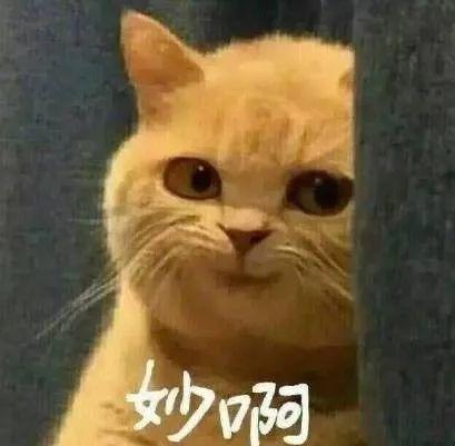 小仙女的真正意思，男生叫女生小仙女是有意思吗（忽然火遍全网的这个梗是怎么来的）