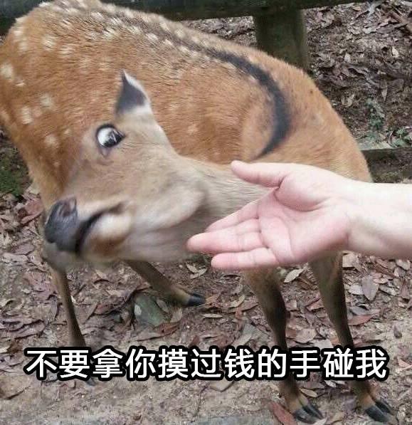 小仙女的真正意思，男生叫女生小仙女是有意思吗（忽然火遍全网的这个梗是怎么来的）
