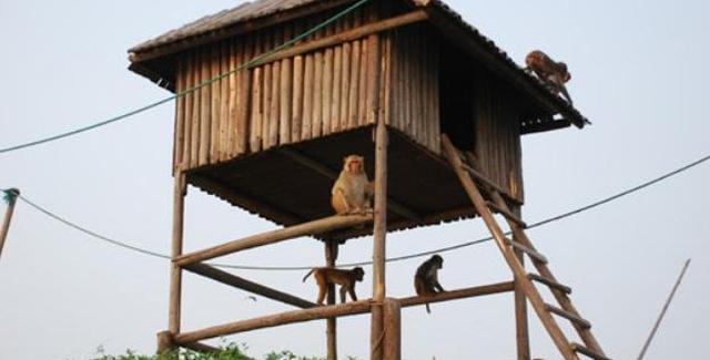 上海大千生态庄园，大千生态庄园门票（坐落在江南水乡上海淀山湖畔的大千生态庄园）