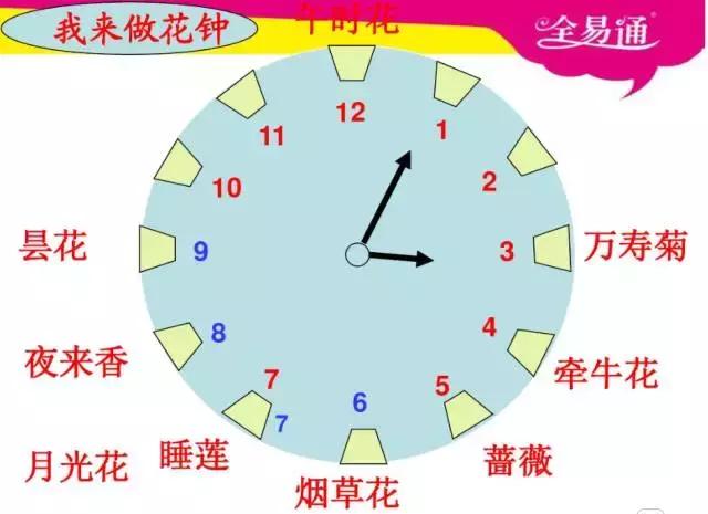 欣然怒放的意思，欣然怒放的意思是什么（三年级语文上册第四单元知识点复习）