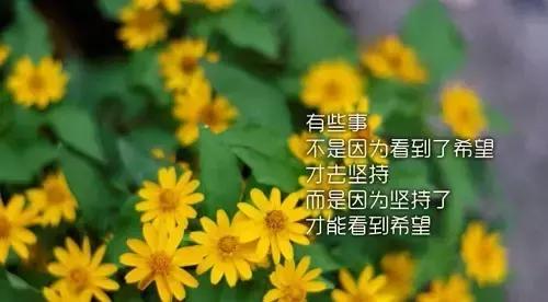 2017最新唯美句子，最新唯美的句子（2017年唯美语录句子大全）