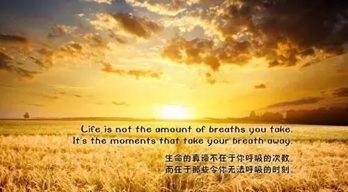 2017最新唯美句子，最新唯美的句子（2017年唯美语录句子大全）