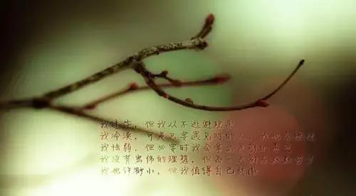 2017最新唯美句子，最新唯美的句子（2017年唯美语录句子大全）