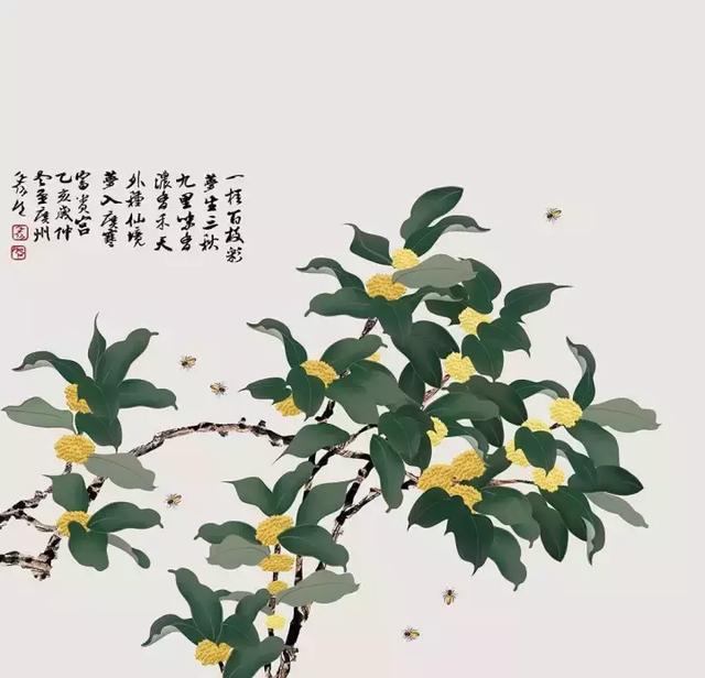 中国四大桂花产地,盘点桂花的四大品种(桂花竟然有这么多种吃法) 中国四大桂花产地,盘点桂花的四大品种(桂花竟然有这么多种吃法)