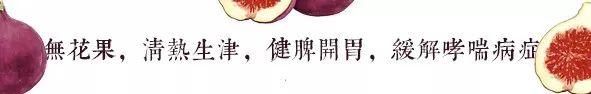 无花果的功效与作用及食用方法，无花果怎样食用（缓解哮喘病症）