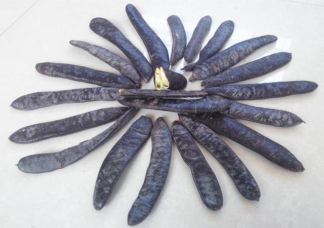 皂角怎么煮水洗发，皂角煮水洗发需要数量（天然健康的养发生发方式）