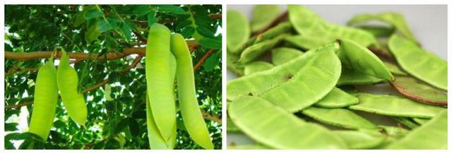 皂角怎么煮水洗发，皂角煮水洗发需要数量（天然健康的养发生发方式）