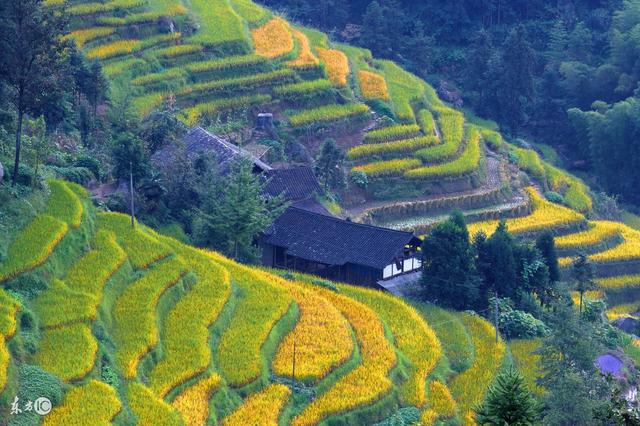 湖南话方言教学，湖南方言土话大全（戳进来回味一下吧）