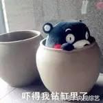 毫无才艺的人能表演什么，有哪些适合没有才艺的人的年会表演（想展现自己但才艺特长全无怎么办）