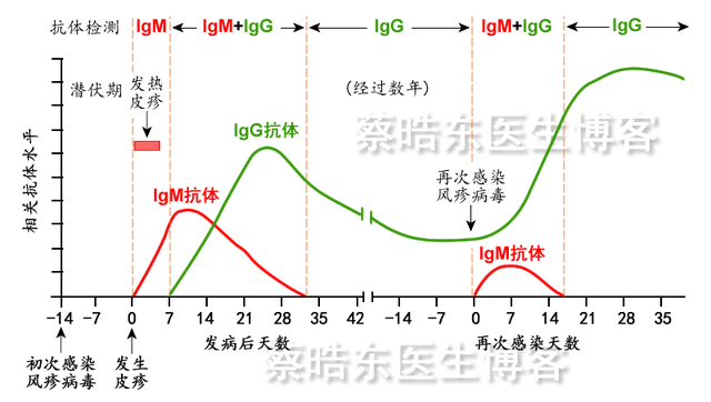 孕妇风疹病毒抗体igg阳性，怀孕风疹病毒阳性什么意思（风疹病毒抗体阳性，怎么看）