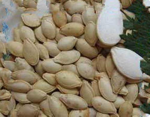 窝瓜的存放方法，冬天窝瓜怎么储存方法（你知道南瓜有什么秘密吗）