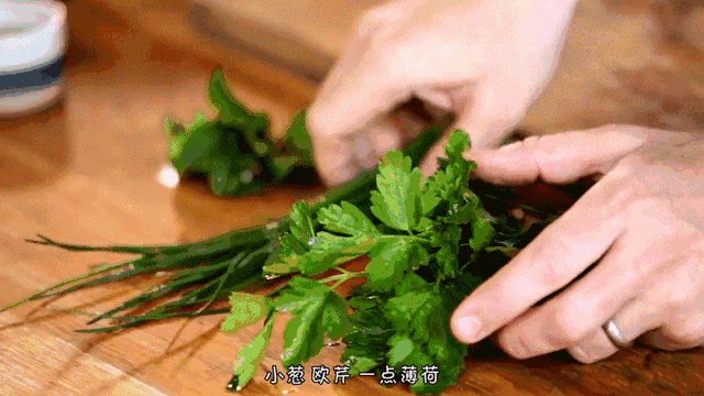 salad可数还是不可数，salad是可数还是不可数（无人不知的英国电视大厨Jamie）