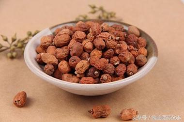 肉蔻的功效与作用，肉豆蔻的功效与作用（豆蔻：温养脏腑，祛除湿邪）