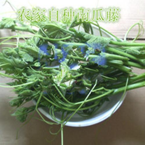 窝瓜的存放方法，冬天窝瓜怎么储存方法（你知道南瓜有什么秘密吗）