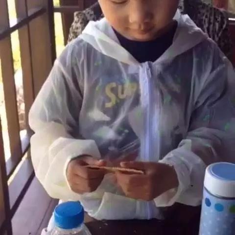 二年级下册手拉手小人怎么剪，剪纸：拉手小人（12大数学能力启蒙玩法）
