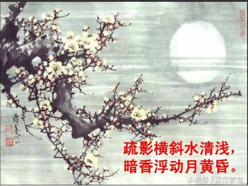 奢怎么读，矗怎么读组词（常见实词归类）