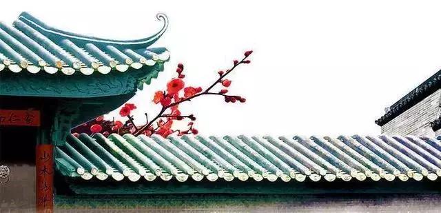 赞美杏花的诗句，杏花雨的诗句（精选十首描写杏花的古诗词）