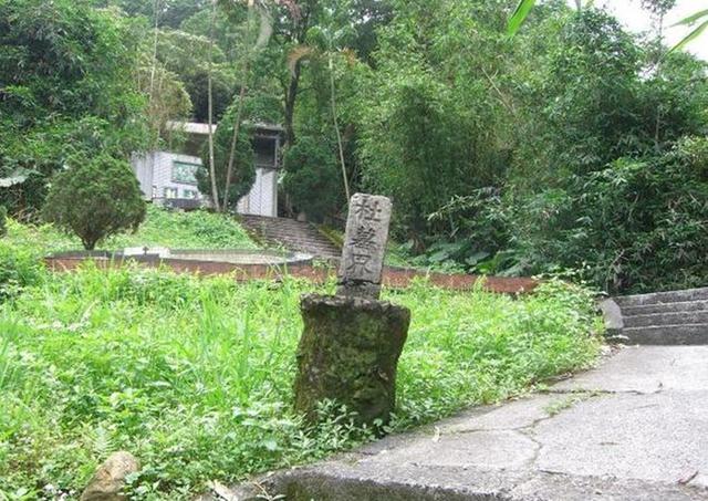 墓园里的读书人，什么叫读书人（一老头跟他非亲非故）