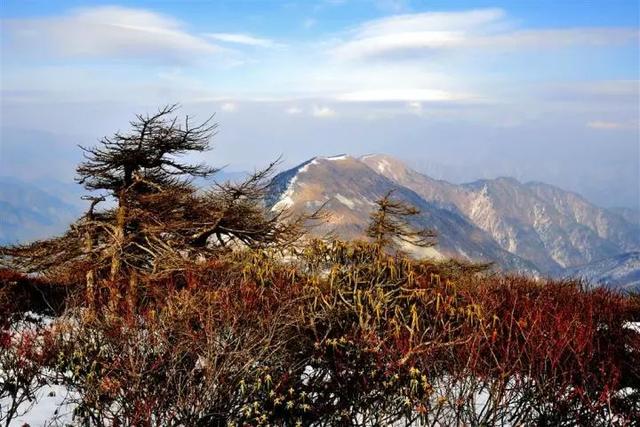 秦嶺山脈最高點在哪裡,秦嶺最高的山脈(陝西境內最高的10座山)