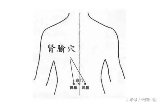 脾虚肥胖怎么办，脾虚很胖怎么办（肥胖的最原因是“肝郁”和“脾虚”）